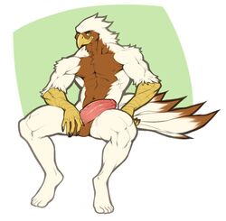 avian brown_fur fur gryphon male male_only nude pose simple_background smug solo spearfrost turz white_fur