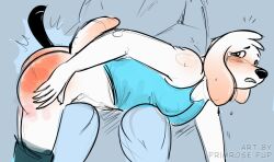 anthro ass belt belting blue_eyes bodily_fluids bottomwear bottomwear_down butt_slap canid canine canis clothed clothing corporal_punishment crying domestic_dog duo female mammal nipple_outline on_knee on_lap otk pants pants_down partially_clothed primrosepup punishment reddened_butt slap spank_marks spank_marks_on_ass spanking strapping tears