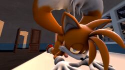 2016 3d anal animated anthro canine cream_the_rabbit darksorm duo erection female fox fur furry_tail lagomorph male mammal multiple_tails nude oral penis rabbit rimming sex sonic_(series) tail tails