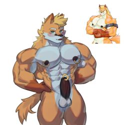 anthro apzapuru bara erect_penis erection fox furry gay male muscular muscular_anthro muscular_male penis pierced_nipples pierced_penis piercings reference_image ring_piercing