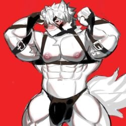 apzapuru bara bara_tiddies blush_lines flexing furry gay male muscular muscular_anthro muscular_male thong thong_only tiddies von_lycaon zenless_zone_zero zzz