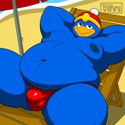 king dedede from kirby (series) by wolfe fubuki