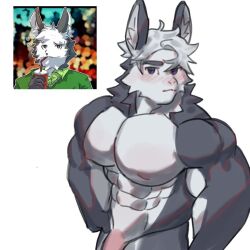 apzapuru bara blush blush_lines furry gay male muscular muscular_male rabbit reference_image white_background