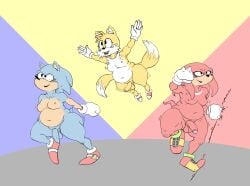 anthro balls canid canine chunkyoreo climbing clothing echidna eulipotyphlan eyelashes femboy flying footwear foreskin fox genitals gloves group handwear hedgehog knuckles_the_echidna male mammal monotreme overweight penis sega shoes sonic_the_hedgehog sonic_the_hedgehog_(series) tails trio