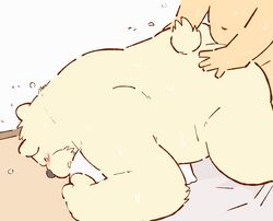 all_fours anal anal_sex bear bed blush closed_eyes doggy_style duo from_behind_position garousuki human interspecies male mammal penetration pillow polar_bear sex simple_background size_difference slightly_chubby sweat yaoi