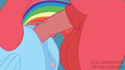 anal anal_sex animal_genitalia animal_pussy animated anus balls big_balls big_macintosh_(mlp) equine equine_pussy female friendship_is_magic hair horse huge_balls mammal medial_ring multicolored_hair my_little_pony pegasus penetration penis pony pussy rainbow_dash_(mlp) sex straight_hair tentacle-muffins wings