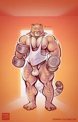 1boy anthro balls erection exercise feline hybrid liger mainlion male male_only mammal muscular penis solo weightlifting weights workout