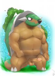 1boy anthro anthrofied areola balls barefoot biceps claws erection male male_only manly musclegut muscular navel nintendo nipples nude pecs penis pokemon reptile scalie seyrmo shell solo spikes standing toe_claws torterra tree turtle video_games