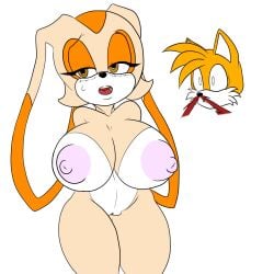 areola big_breasts blood blush bodily_fluids breasts canid canine cream_the_rabbit dialogue embarrassed female fox genitals hi_res lagomorph leporid little-gray-bunny long_ears mammal nipples nosebleed nude open_mouth orange_eyes pink_areola pink_nipples pussy rabbit sega shy sonic_the_hedgehog_(series) surprised sweat tails third-party_edit