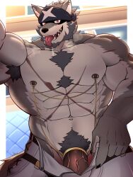 abs another_eidos_of_dragon_vein_r anthro canine full_house_(anothereidos_r) fullhouse fur gao_xio headband male male_focus male_only mammal multicolored_body muscular muscular_anthro muscular_male nipples omame solo solo_male wolf