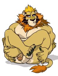 1boy anthro ass balls crossed_legs embarrassed feline flaccid front_view holding_legs legs_up lion male male_only mammal mane muscular nipples nude penis retracted_foreskin rossciaco sitting solo uncut whiskers