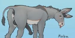 animal_genitalia animal_penis anus asinus ass balls dessert donkey doughnut equid equine erection feral food fur genitals hi_res koba looking_at_viewer male mammal nude pastry penis simple_background solo tail tongue