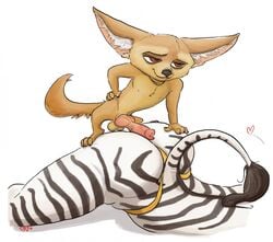 ambiguous_gender animal_genitalia animal_penis anthro ass balls canine canine_penis disney duo equine fennec finnick fox knot male mammal panties penis testicles wolfgirl_(artist) zebra zootopia