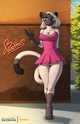 anthro blue_eyes blush bodily_fluids bottomless brick_wall brown_body brown_fur clothed clothing domestic_cat dress felid feline felis female feretta fur genital_fluids genitals hair hi_res jewelry looking_at_viewer mammal outside pussy short_dress siamese smile solo sonia_sorenson sundress upskirt vaginal_fluids wall_(structure) white_body white_fur white_hair