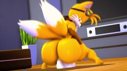 1boy 3d 3d_animation animated anthro ass big_ass bubble_butt crouching dildo dildo_in_ass fat_ass femboy fox furry furry_only goggles goggles_on_head hand_on_ass hand_on_own_ass huge_ass indoors jiggle jiggling_ass large_ass looking_at_viewer looking_back male male_only nude nude_male sex_toy sex_toy_in_ass shinyagaia solo sonic_(series) sonic_the_hedgehog_(series) sound squatting tail tails tails_the_fox thick_ass thick_thighs video wide_hips