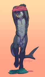 1boy 2015 animal_genitalia anthro balls clothing fish gradient_background hide_(character) male male_only marine meesh navel one_eye_closed penis penis_tip scalie shark sheath simple_background solo standing undressing