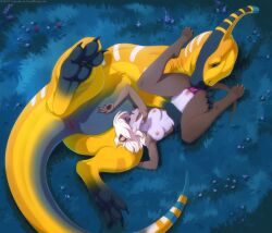 2025 3_toes 4_toes 5_fingers animal_genitalia anthro anthro_on_feral anus areola blonde_hair blue_body blue_countershading blue_eyes breasts brown_body brown_fur claws cloaca closed_eyes countershade_torso countershading cunnilingus dasyuromorph digital_media_(artwork) dinosaur duo feet female female/female female_on_feral feral fingers fur genitals grey_tail hadrosaurid hair handpaw horizontal_cloaca lunalei lying lying_on_ground mammal marsupial nipples nude nude_anthro nude_female on_back on_ground open_mouth oral ornithischian ornithopod outside parasaurolophus paws prehistoric_species pussy recently_extinct_species reptile scalie sex tail teeth thylacine toe_claws toes tongue vaginal_penetration white_body white_countershading yellow_body yellow_tail zoophilia