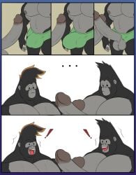 abs anthro ape aroused aroused_by_another aroused_face aroused_male aroused_smile balls bedroom_eyes biceps big_penis black_body black_fur briefs briefs_only clothed clothing comic criminal duo excited excited_expression excited_for_sex excited_male eye_contact fangs fangs_bared frottage fur gang gangster genitals gorilla green_briefs green_clothing green_underwear grinding haplorhine hi_res huge_cock hyper hyper_genitalia hyper_penis illumination_entertainment imminent_oral imminent_sex johnny_(sing) large_penis looking_at_another looking_at_another's_penis looking_at_genitalia looking_at_partner looking_at_partner's_penis looking_at_penis looking_pleasured male male/male males_only mammal masculine_male muscular muscular_anthro muscular_male narrowed_eyes nude nude_anthro nude_male pecs penile penis penis_through_clothing penis_through_underwear penises_touching pleasured_male primate seductive sex simple_background sing_(movie) surprised surprised_expression surprised_eyes surprised_face surprised_look teeth thick_arms thief throbbing throbbing_penis tongue tongue_hanging_out tongue_out topless torn_clothing torn_underwear underwear underwear_only unrealrui white_background yellow_background