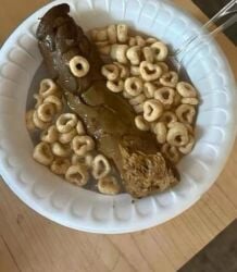 femboy furry solo special_sauce tagme