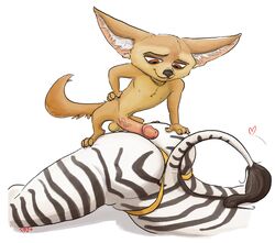 ambiguous_gender anthro ass balls canine disney duo equine fennec finnick fox humanoid_penis male mammal panties penis testicles wolfgirl_(artist) zebra zootopia