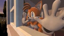 1boy 2016 3d animated anthro canine darksorm erection fox male male_only mammal penis solo sonic_(series) tails