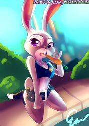 judy hopps from disney by miiyauwu