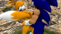 2boys 3d anal anal_sex anthro anthro_on_anthro ass_grab balls blue_eyes fox furry gay gloves hedgehog looking_back male male/male male_only open_mouth outdoors penis sega sex sfm smile sonic_(series) sonic_the_hedgehog sonic_the_hedgehog_(series) source_filmmaker standing supaphreak tail tails tails_the_fox yaoi