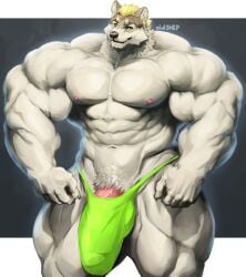 5_fingers abs anthro biceps big_bulge big_muscles big_pecs big_penis biped black_nose blonde_hair bulge canid canine canis claws clothed clothed_anthro clothed_male clothing deltoids detailed_bulge digital_media_(artwork) digital_painting_(artwork) fangs finger_claws fingers fur genital_outline genitals green_clothing green_eyes green_thong green_underwear hair huge_bulge huge_cock huge_muscles humanoid_hands hyper hyper_muscles jared_kuznetsov looking_forward male male_anthro mammal muscular muscular_anthro muscular_male navel nipples oldshep painting_(artwork) pecs penis penis_base penis_outline pink_nipples pink_penis portrait pubes quads shaded signature simple_background smile soft_shading sole_male solo solo_male teeth thong thong_only three-quarter_portrait topless topless_anthro topless_male trapezius triceps underwear underwear_only v-cut white_body white_fur wolf