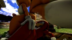 2016 3d anal anal_sex animated anthro canine darksorm duo echidna erection fox furry_tail knuckles_the_echidna male mammal monotreme multiple_tails nude penetration penis sex sonic_(series) tail tails yaoi