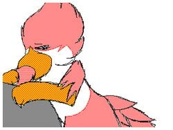 animated avian avian_(starbound) beak beakjob blush cum cum_on_face cute feathers fellatio flipnote loop maladash male oral penis red_feathers satisfied sex starbound talons tongue vast_white video_games yaoi