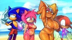 2girls amy_rose beach bikini breasts chuf female huge_breasts knuckles_the_echidna rouge_the_bat sega sonic_(series) sonic_the_hedgehog sonic_the_hedgehog_(series) tagme