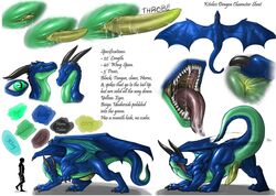 2016 animal_genitalia animal_penis anus ass blue_body colored dragon duo edit erection horn kiteless looking_at_viewer male membranous_wings model_sheet narse open_mouth penis presenting presenting_hindquarters raised_tail rear_view scalie size_difference slit solo solo_focus teeth tongue tongue_out wings