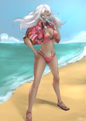 1girls beach bikini blue_eyes breasts dark-skinned_female dark_skin day deekei elma_(xenoblade_x) female_focus full_body hair_ornament high_res jacket long_hair looking_at_viewer medium_breasts navel nintendo sky swimsuit white_hair xenoblade_(series) xenoblade_chronicles_x