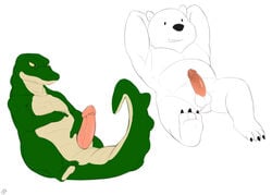 1boy animal_genitalia anthro balls bear cartoon_network crocodile erection furry furry_only genital_slit hands_behind_head humanoid_penis ice_bear male male_only mammal multiple_images musclegut nude opencanvas penis pinup plantigrade polar_bear pose reptile scalie seyrmo sheath signature slit solo we_bare_bears