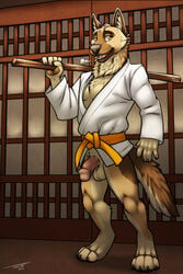 1boy aniel anthro balls bottomless brown_fur canine clothed clothing fur german_shepherd male male_only mammal martial_arts muscular penis pinup pose solo staff tan_fur tsaiwolf yellow_eyes