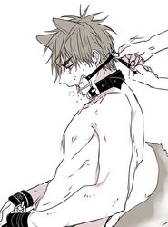 2boys animal_ears blush drooling gag handcuffs kiyoshi_teppei kuroko_no_basuke male_only multiple_boys nude partially_colored restrained saliva sweat tail white_background yaoi