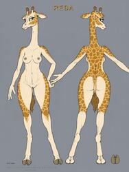 anthro ass breasts ecmajor edit female giraffe green_eyes heart hi_res hooves looking_at_viewer mammal model_sheet navel nipple_piercing nipples nireba_(kyvinna) piercing pussy solo text wide_hips