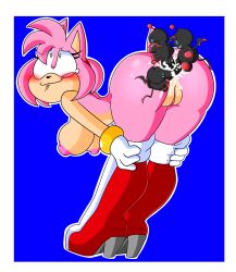 amy rose from sega