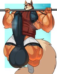 arcanine from nintendo by somniumfox