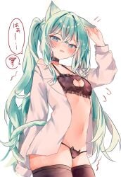 hatsune miku from vocaloid by natukisigure