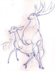 antlers cervine deer female feral feral_on_feral giselle_(open_season) horn ian_(open_season) ink male mammal open_season orgasm queensmate rutting sex sketch sony straight