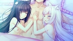 1boy 2girls :3 alternate_hairstyle animal_ears bed blush breasts brown_hair cat_ears chestnut_mouth chocola_(sayori) closed_eyes cuddling game_cg girl_sandwich hair_down hand_holding long_hair multiple_girls naked_sheet nekopara nipples nude pillow pink_hair sandwiched sayori sleeping small_breasts torso vanilla_(sayori) white_hair