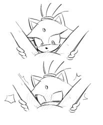 amy rose from sonic (series) by pulsarrrrr10086