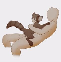 2021 2d_animation 4_fingers anal anal_sex animated anon anthro anthro_on_top anthro_penetrated balls biped black_nose bouncing_balls brown_body brown_fur closed_eyes digital_media_(artwork) dipstick_ears duo ear_markings erection faceless_character faceless_human faceless_male facial_markings feet fingers fluffy fluffy_tail from_front_position fur genitals guardians_of_the_galaxy head_markings high_framerate hug human human_on_anthro human_on_bottom human_penetrating human_penetrating_anthro human_penetrating_male interspecies iztli larger_human larger_male male male/male male_anthro male_human male_on_anthro male_on_bottom male_on_human male_on_top male_penetrated male_penetrating male_penetrating_anthro male_penetrating_male mammal markings marvel marvel_comics mask_(marking) mastery_position motion_tweening multicolored_body multicolored_ears multicolored_fur nude on_bottom on_top penetration penile penile_penetration penis penis_in_ass plantigrade procyonid raccoon rasterraccoon ring_(marking) ringed_tail rocket_raccoon sex shaded shallow_penetration short_male side_view simple_background size_difference smaller_anthro smaller_male smaller_penetrated striped_markings striped_tail stripes tail tail_markings toes white_background white_ear_tips