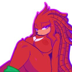 knora the echidna from sonic (series) by rwalsei