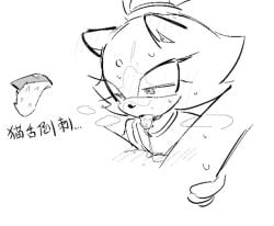 amy rose from sonic (series) by pulsarrrrr10086