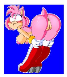 amy rose from sega