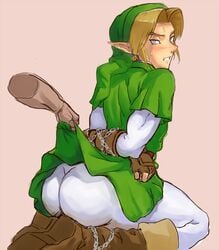 link from ocarina of time