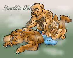 2003 abs animal_genitalia anthro balls bear erection farmer flaccid hairy hat hooves howllie male male_only mammal massage nipples pecs penis sheath towel