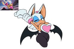 rouge the bat from sega by corythec